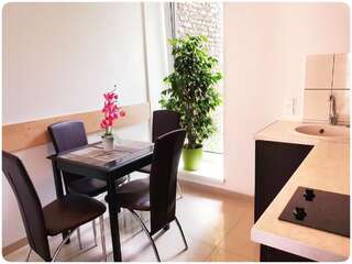 Отель Vivulskio Hotel Вильнюс Улучшенный номер с кухней и террасой-3