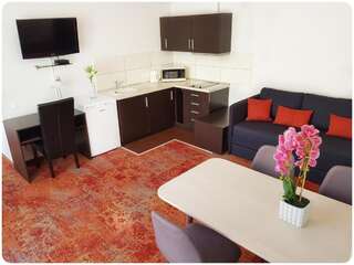 Отель Vivulskio Hotel Вильнюс Роскошные апартаменты с 1 спальней и террасой-8