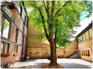 Отель Vivulskio Hotel Вильнюс Двухместный номер с 2 отдельными кроватями-1