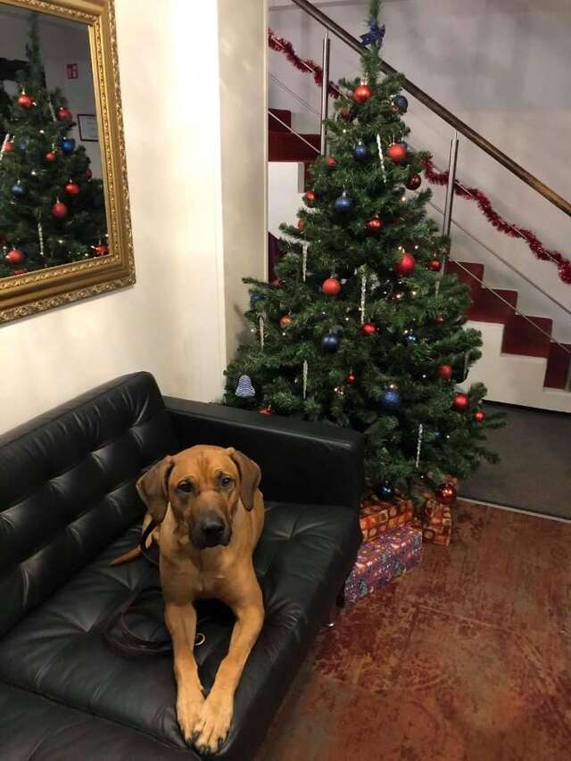 Отель Vivulskio Hotel Вильнюс-19